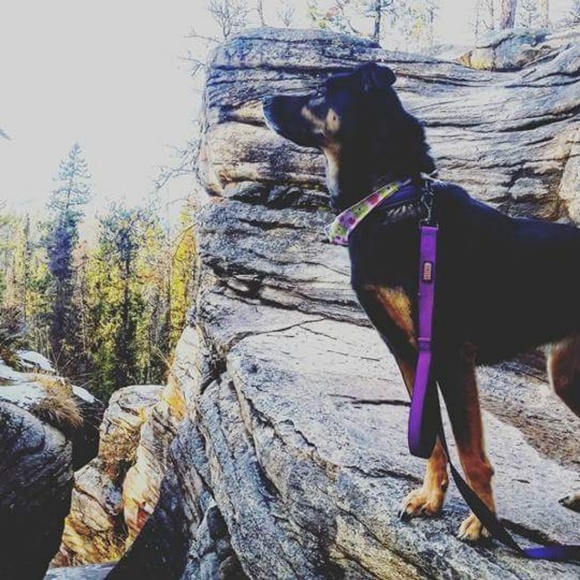 Meet your Posher, Michelle - Picture 1 of 1